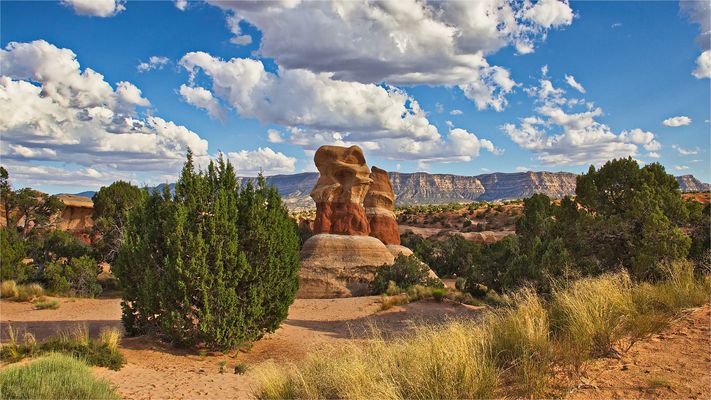 Fiftymile Mountain # 3