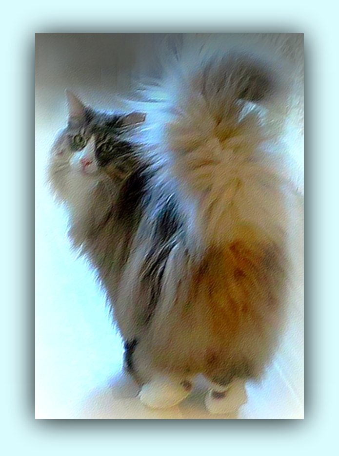 FIGARO....