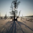 Figé dans le lac!