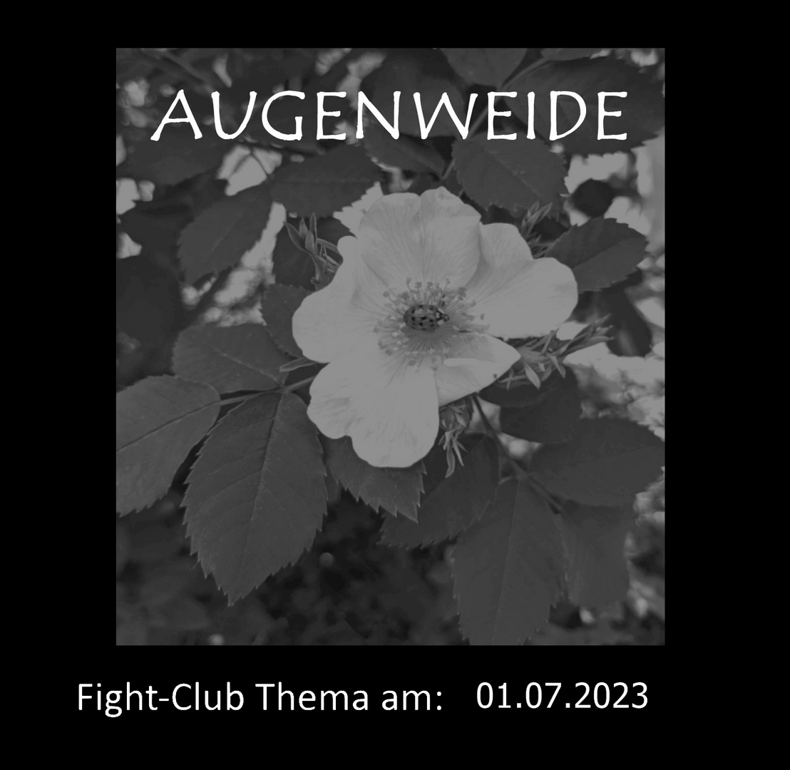 Fight-Club Thema am 01.07.2023: Augenweide 