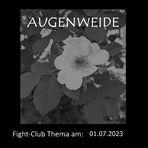 Fight-Club Thema am 01.07.2023: Augenweide 