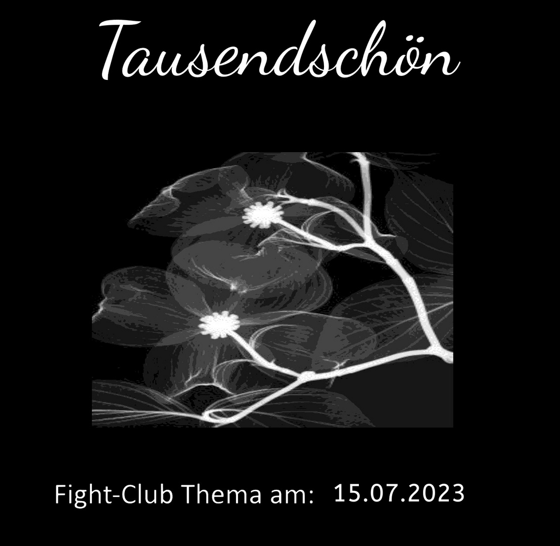 Fight-Club Thema am 15.07.2023: Tausendschön