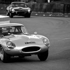 Fighting against the Jag, Goodwood 2011