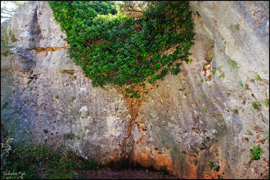 Fighting for light at Ciudad Encantada - Spain