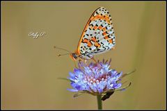 Figlia del vento/Daughter of the wind (reloaded)