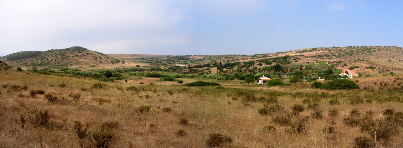 Figueira - 2006