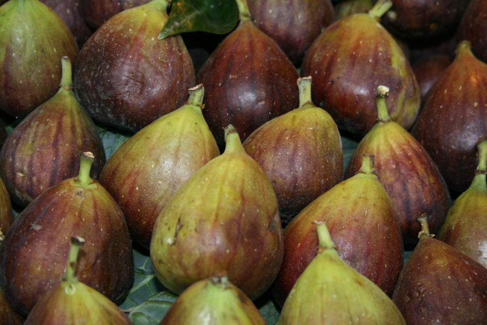 figues