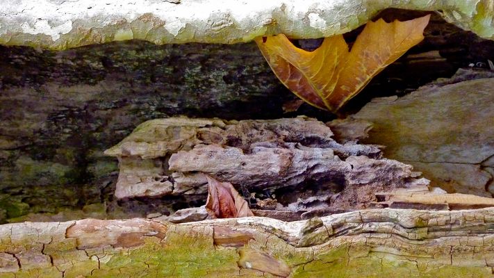 Figure in legro (MW 2017.06.12.)