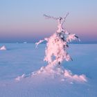 Figuren im Schnee_3