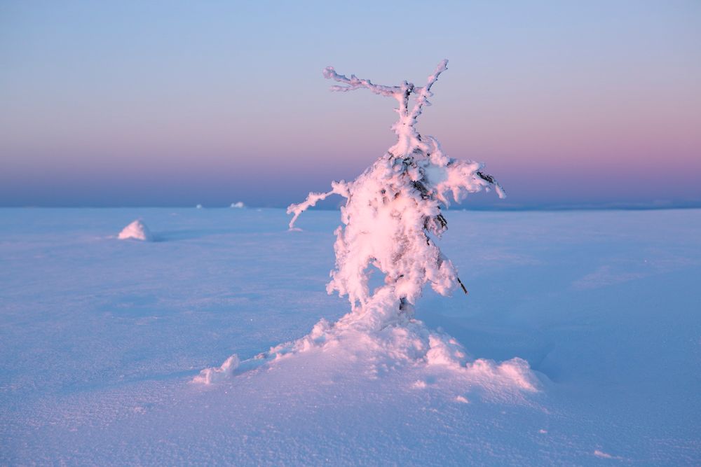 Figuren im Schnee_3