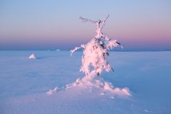 Figuren im Schnee_3