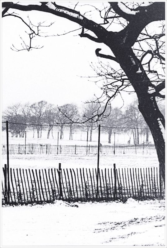 Figures in the Snow