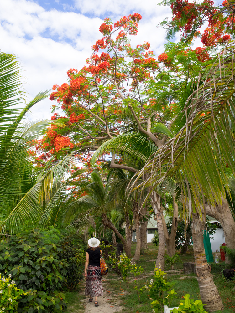 Fiji Bounty Island