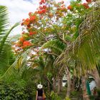 Fiji Bounty Island