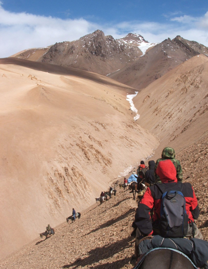 Fila de mulas en los Andes - Line of mules at the Andes