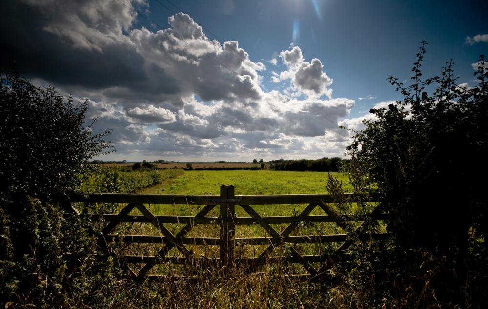 Filby Heath Gt Yarmouth