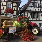 Filderkrautfest in Leinfelden-Echterdingen