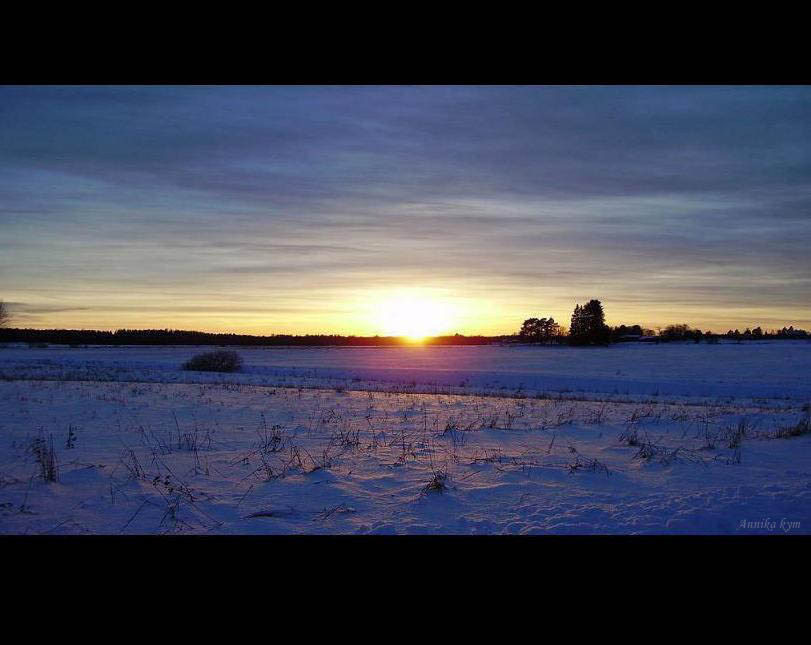 Filds in snow