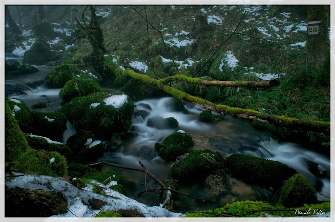 Filé d'eau