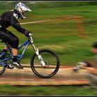 Filé...Coupe du monde VTT LA BRESSE(LORRAINE).