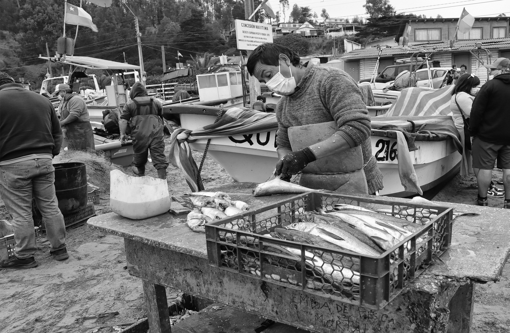 Fileteador de Pescado