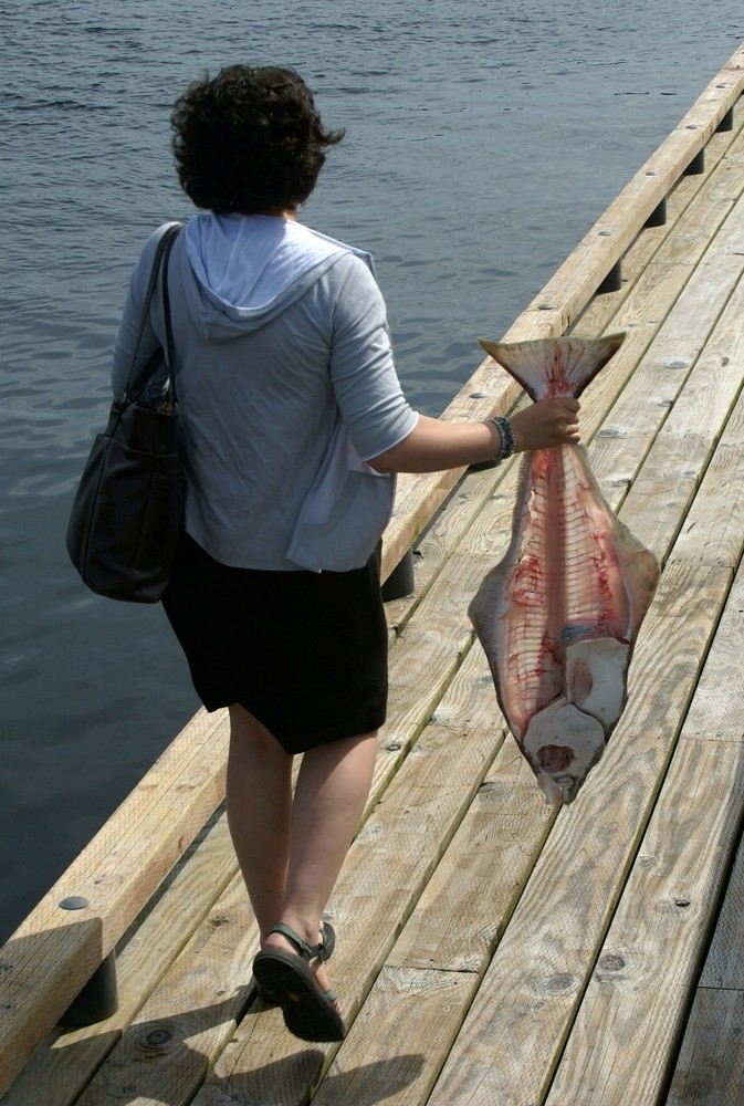 Filetierter Fisch fertig zum Verfüttern