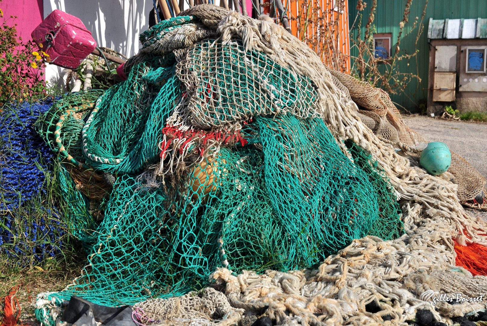  filets de port à l'oléronnaise