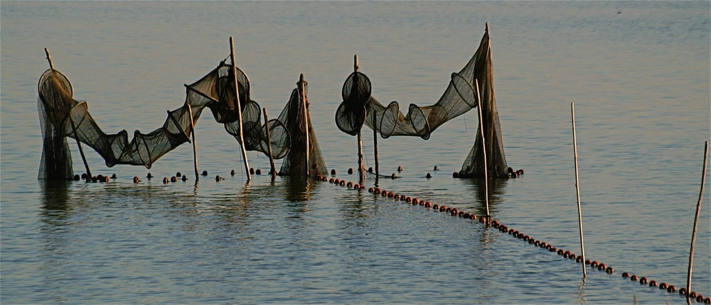 Filets sur Etang