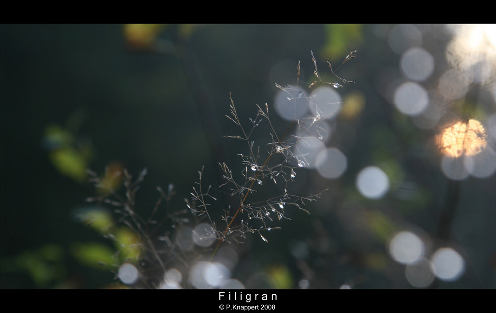 Filigran