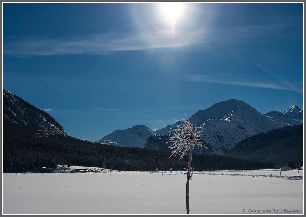 Filigrane Bergwelt