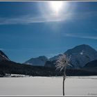 Filigrane Bergwelt