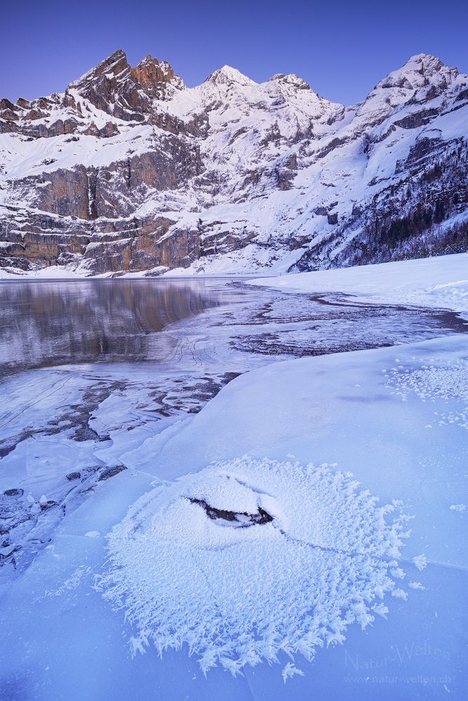 Filigrane Frostformen