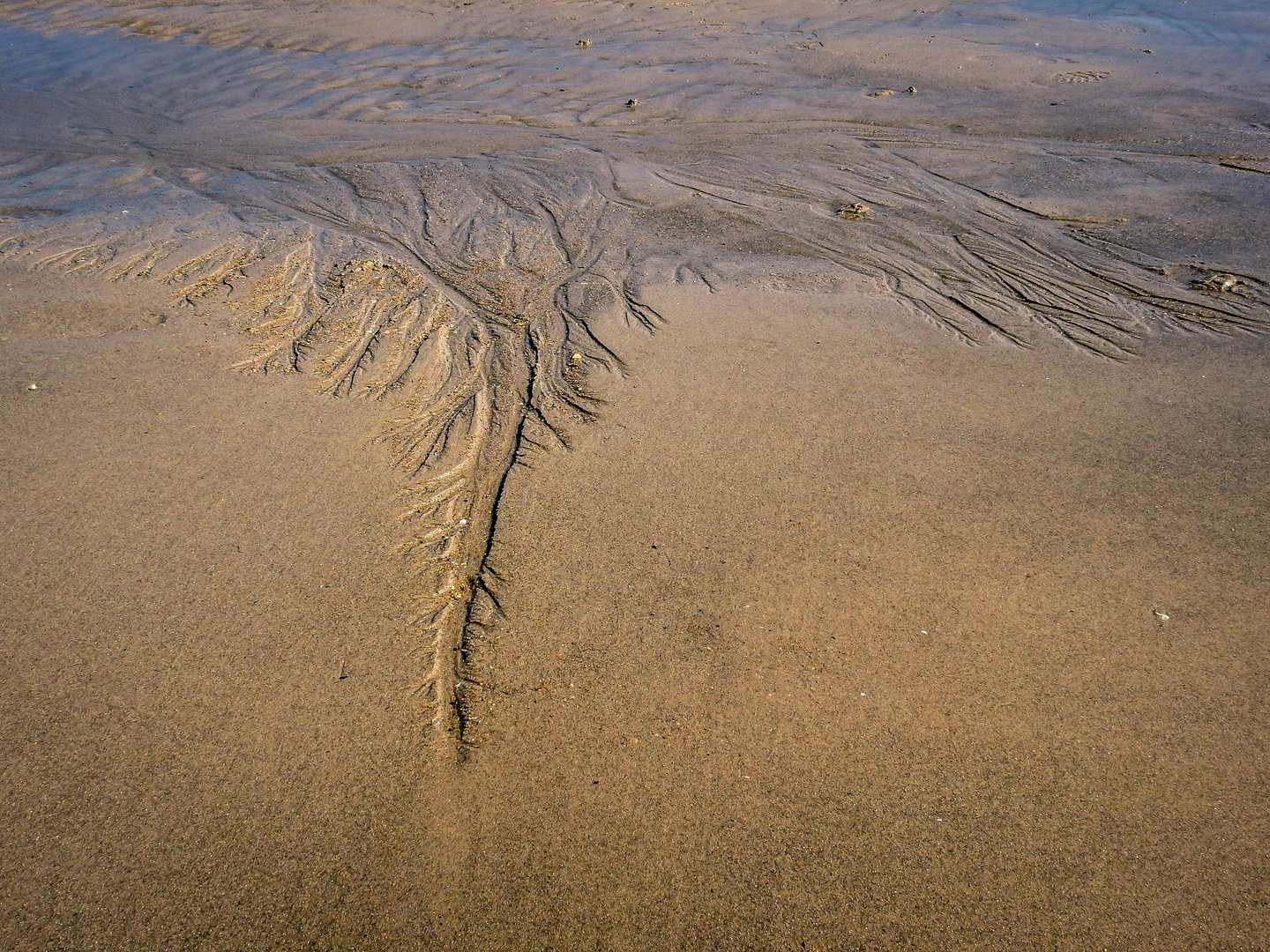 Filigrane Kunst durch Wasser am Strand von Helgoland