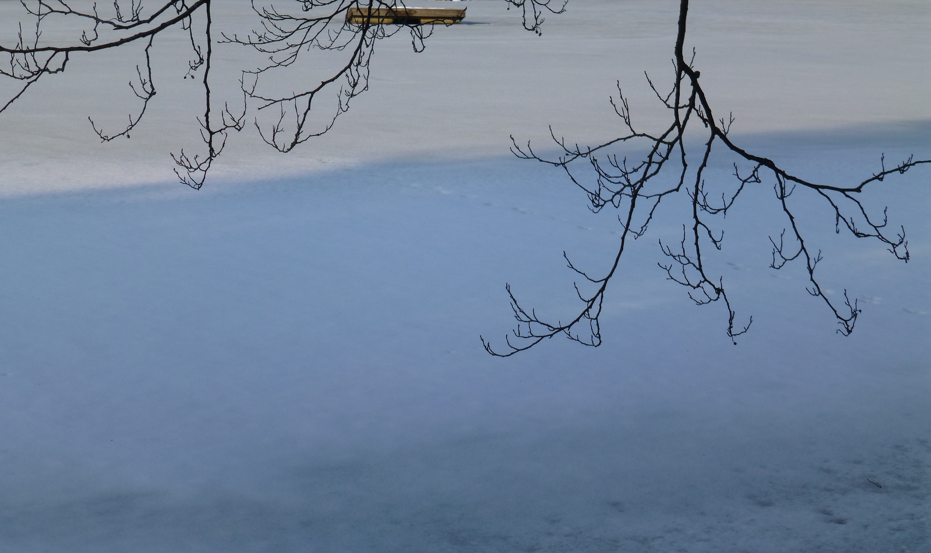 filigrane Seelandschaft im Winter