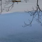 filigrane Seelandschaft im Winter