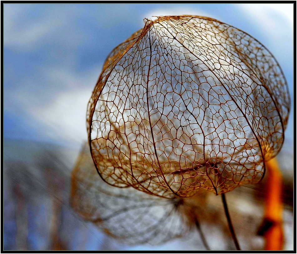 Filigranes Osterei !