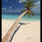 Filitheyo Island - North Nilandhe (Faafu) Atoll - Maldives 2012