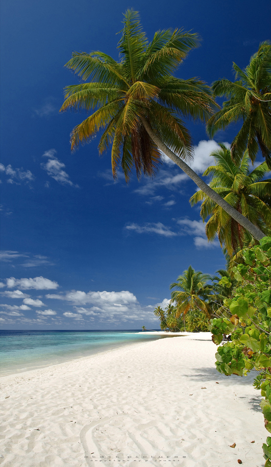 Filitheyo Island - North Nilandhe (Faafu) Atoll - Maldives 2012