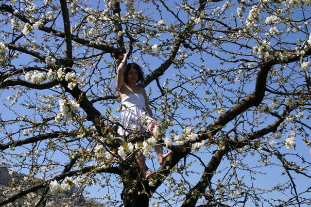 Fille dans le cerisier