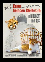 Filmklassiker 2: "Die Katze auf dem heißen Blechdach" mit Hubert & Rosi