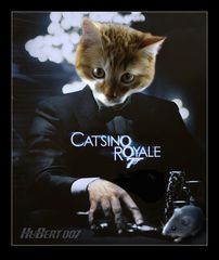 Filmpremiere zu Ostern: Kater Hubert in "CATSINO ROYALE 007"