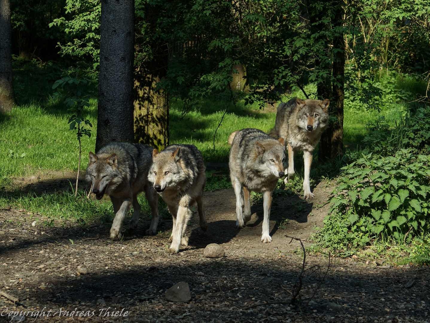 Filou mit seiner Truppe 2 :)