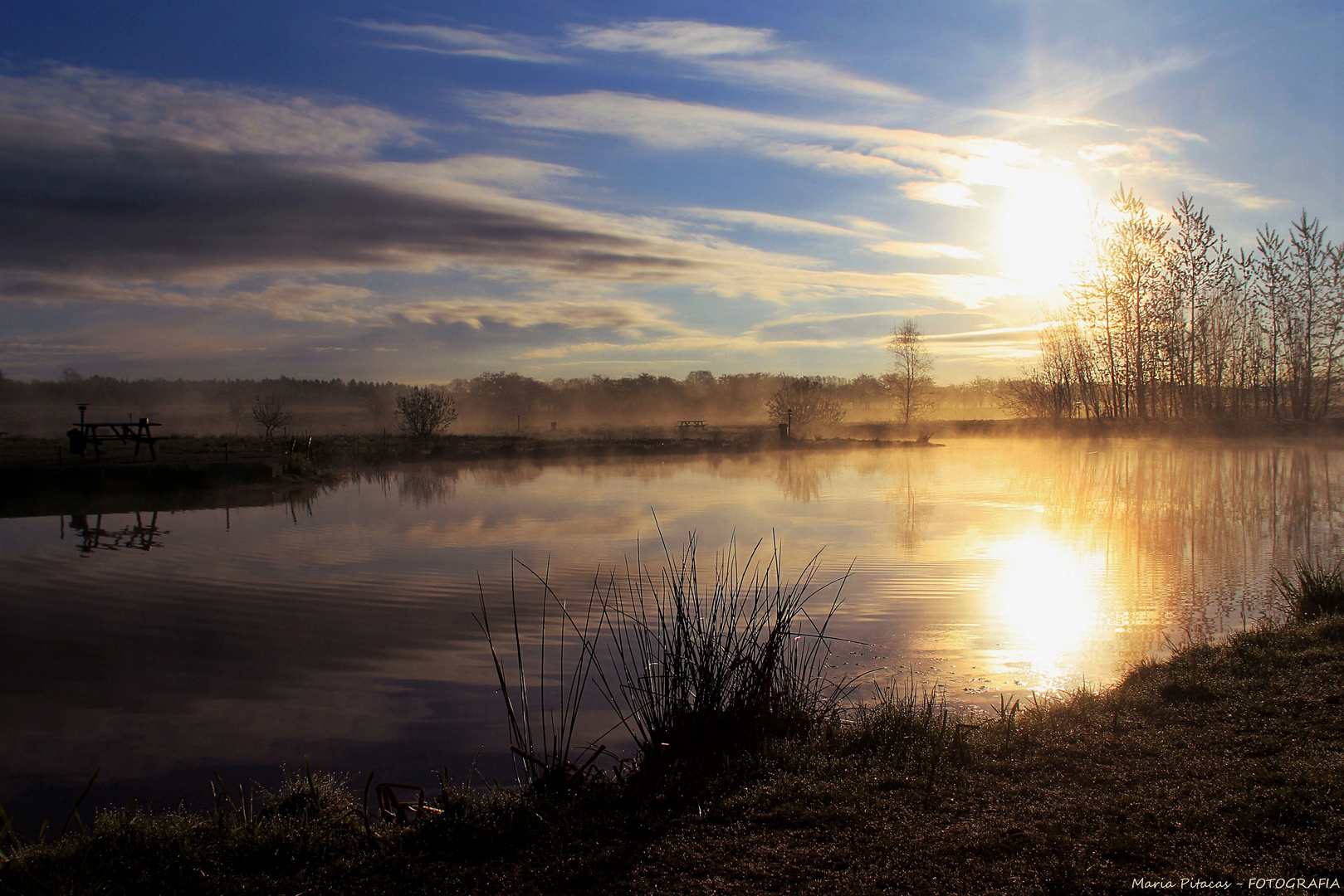 ~ Filskov IV ~