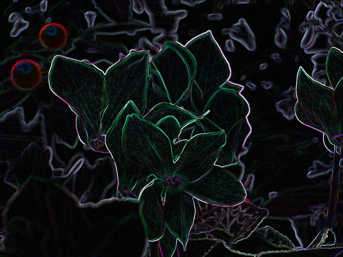 Filtered flower