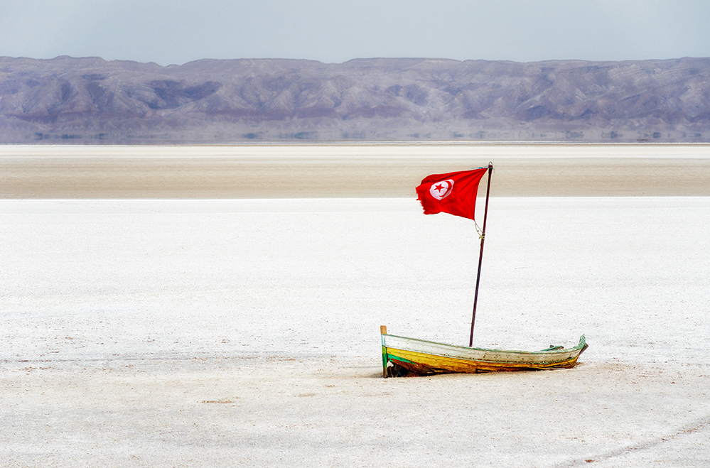 Fin Che La Barca Va ( allegoricaMente )