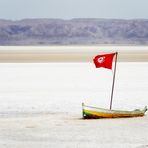 Fin Che La Barca Va ( allegoricaMente )