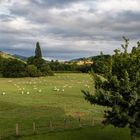 Fin d'aprés midi à Macaye 