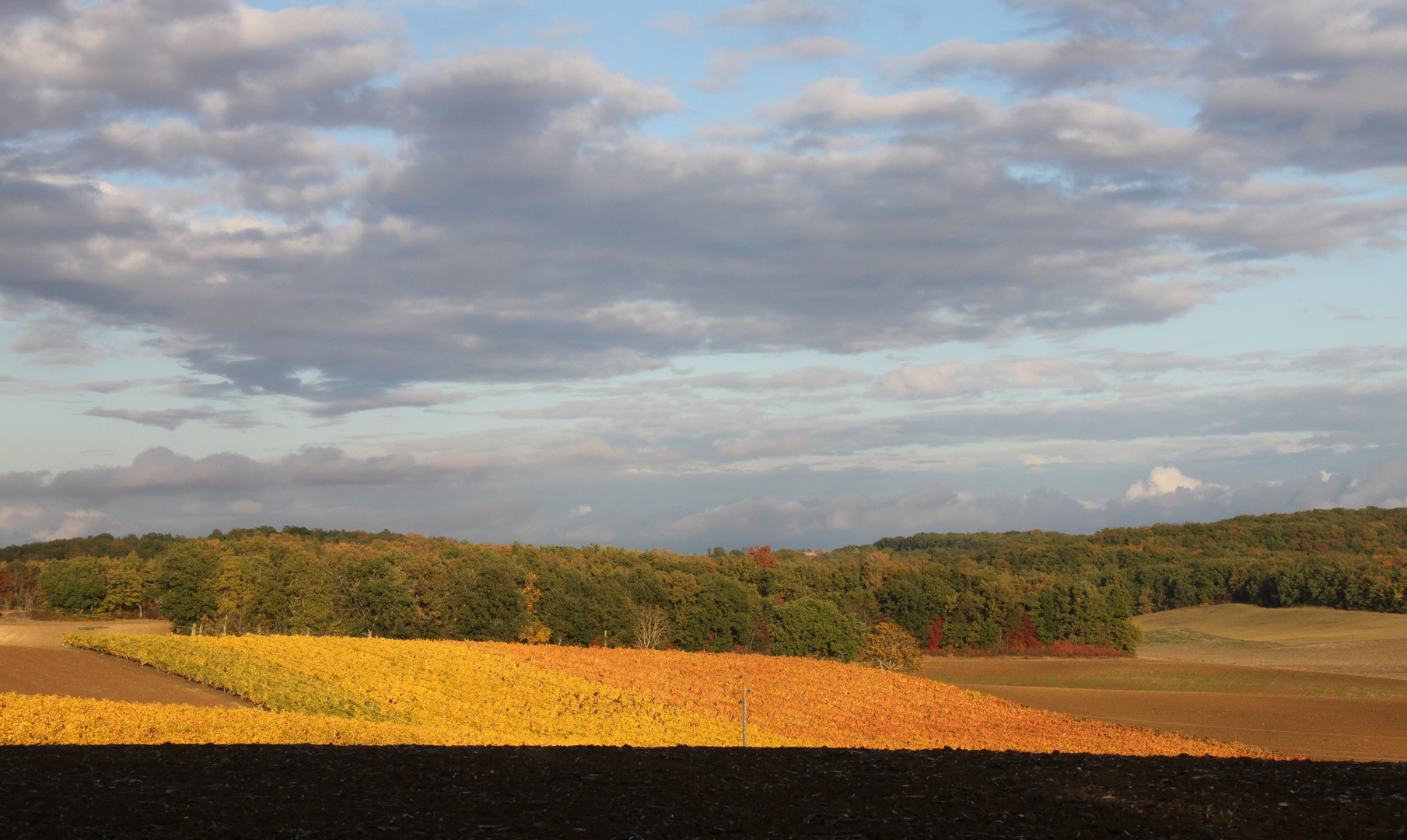 Fin d'après-midi campagne gersoise