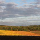 Fin d'après-midi campagne gersoise