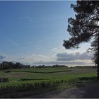 Fin d’après-midi sur le vignoble de Sauternes